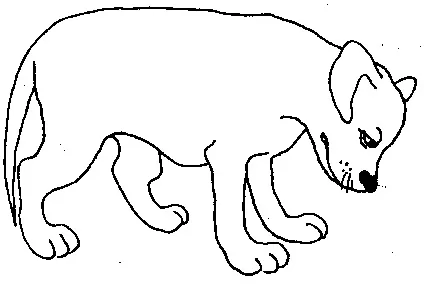 test3.jpg